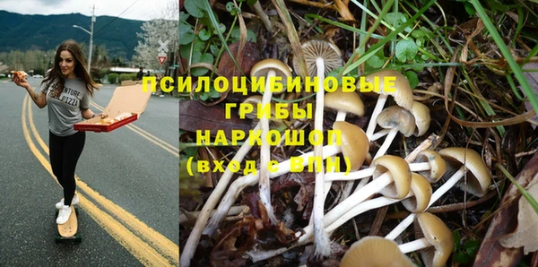 молекула духа Наволоки