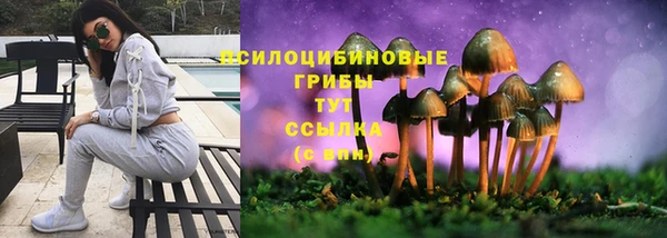 MESCALINE Михайловск