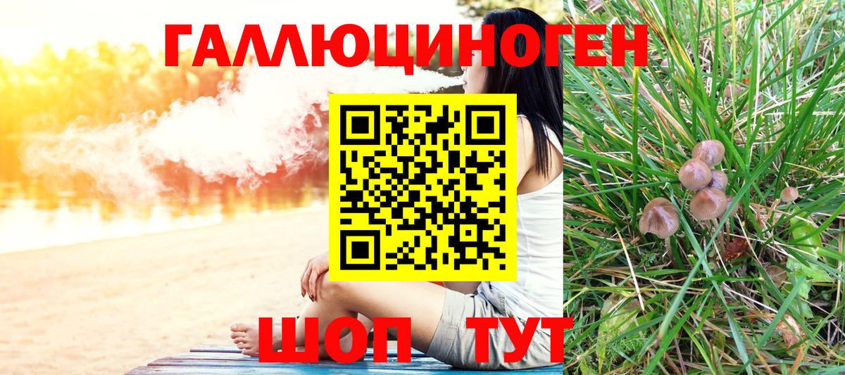 закладка  Вход с VPN  Евпатория  Галлюциногенные грибы Cubensis 