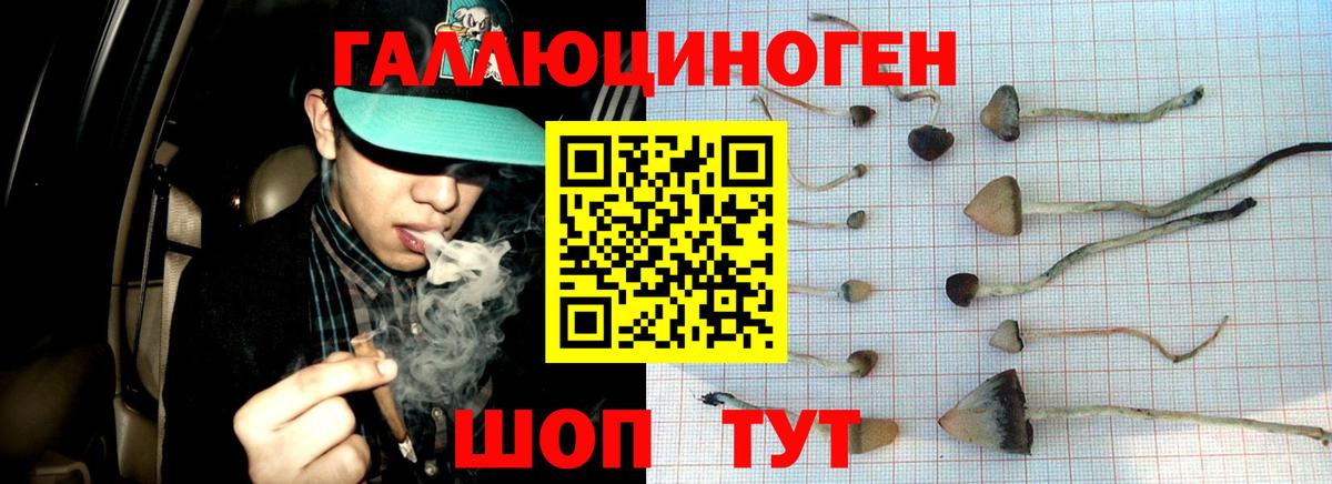 Галлюциногенные грибы мухоморы Евпатория